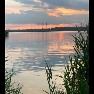 Meet your Posher, Wendy